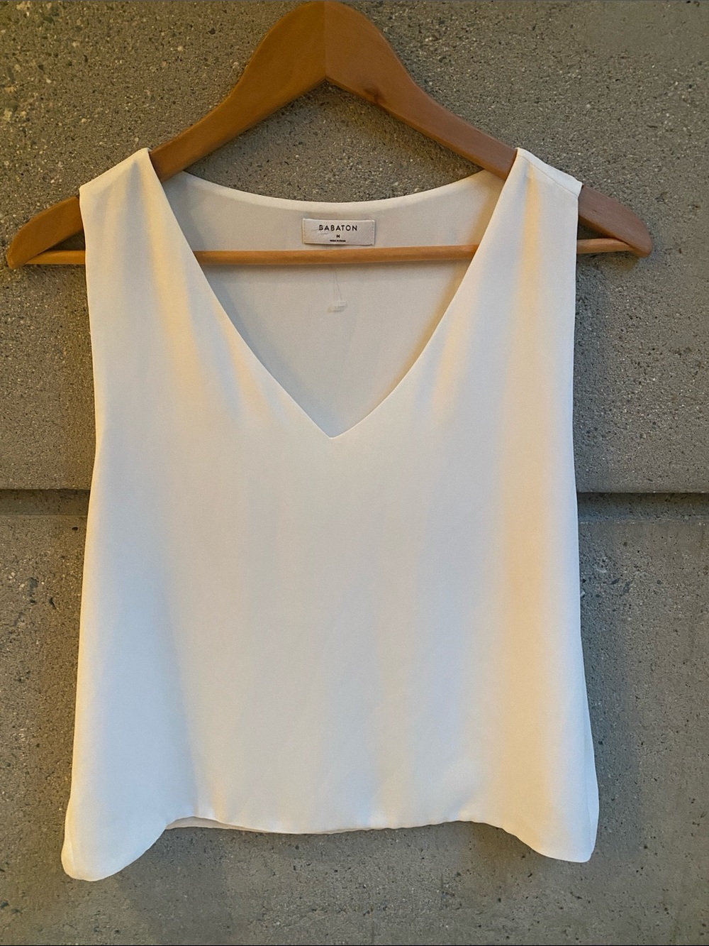 Aritzia Babaton Murphy Top